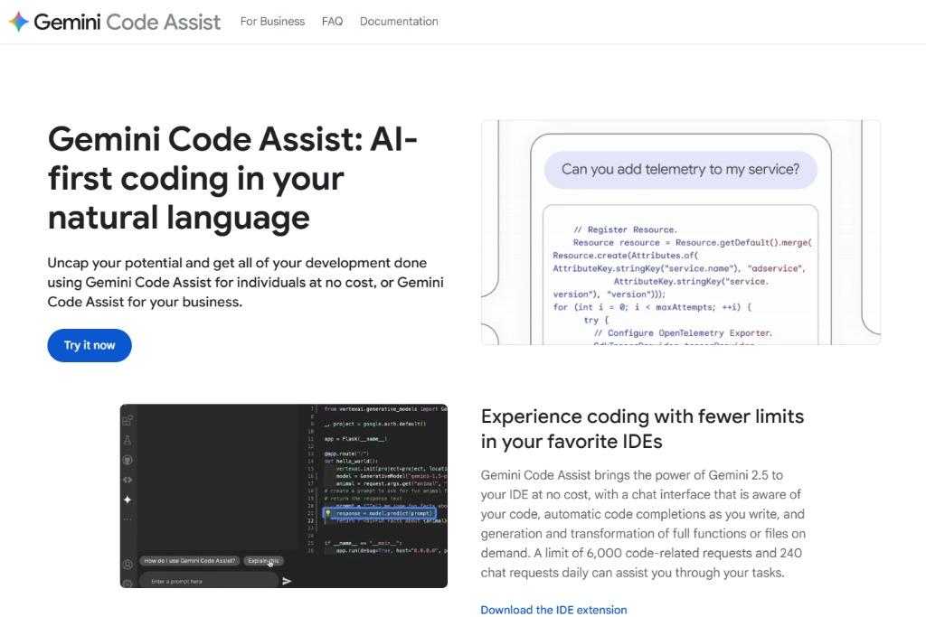 Gemini Code Assist image